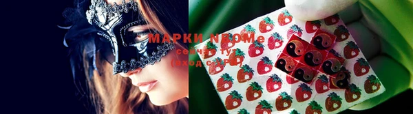 шишки Коряжма