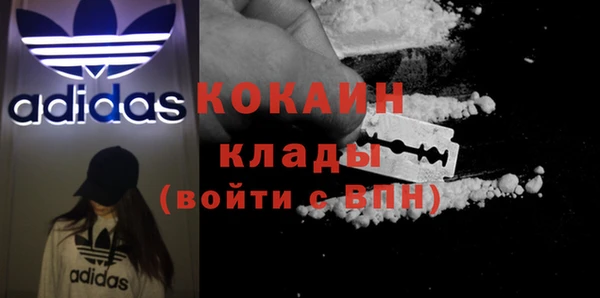 шишки Коряжма