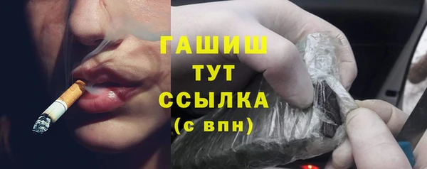 шишки Коряжма