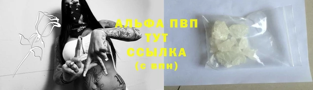 шишки Коряжма