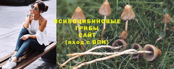 СК Корсаков