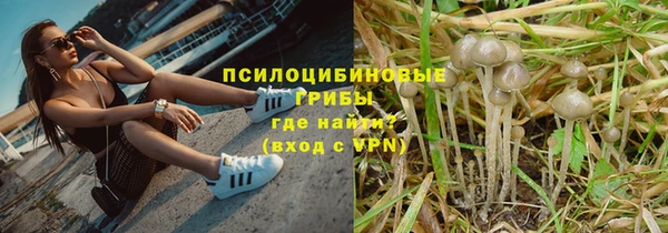 СК Корсаков