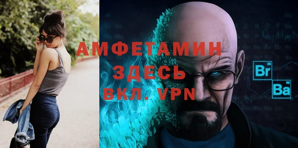 шишки Коряжма
