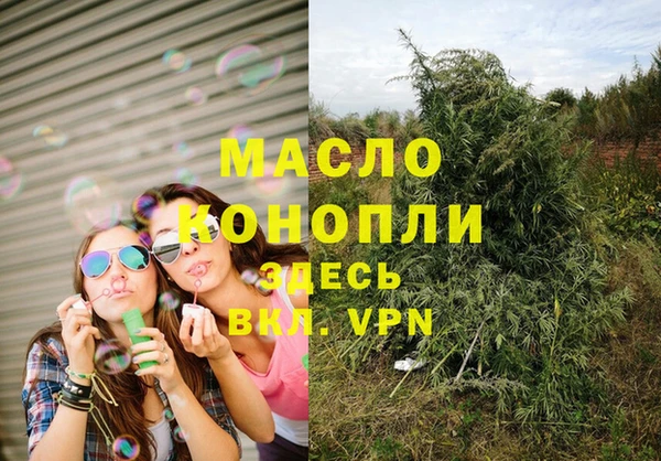 шишки Коряжма