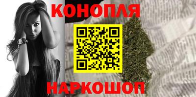 apvp Тулун