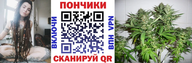 Бошки Шишки ГИДРОПОН  Тара 